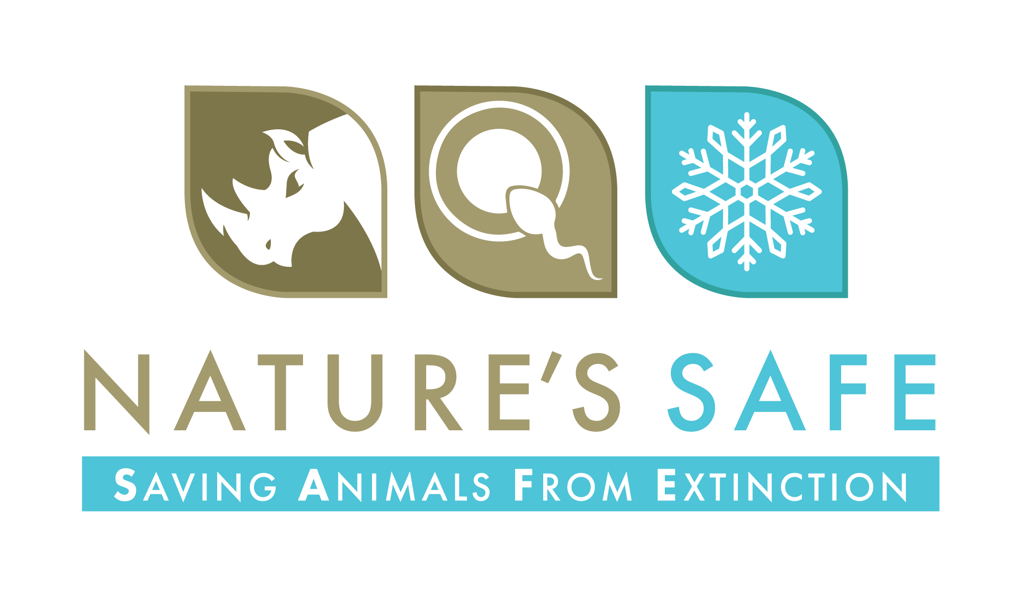 Nature's Safe Logo